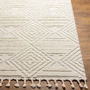 Surya Nora NOA-2307 Light Gray Area Rug by LIVABLISS