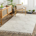 Surya Nora NOA-2307 Light Gray Area Rug by LIVABLISS