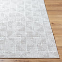 Surya Nesta NST-2302 Light Beige Area Rug by LIVABLISS