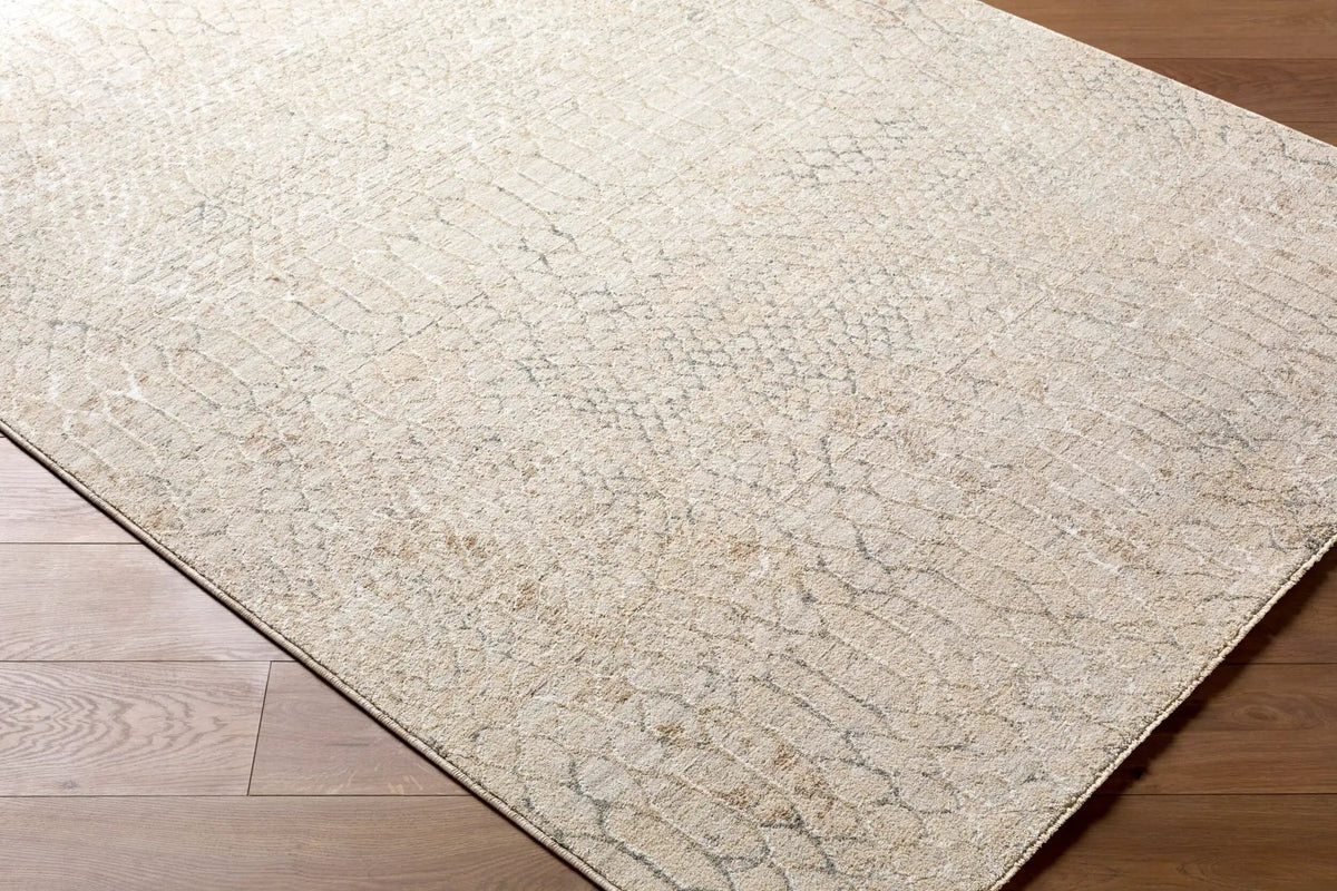LIVABLISS Nathan NTH-2301 Light-Beige Area Rug