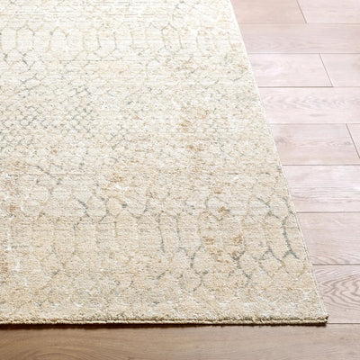 LIVABLISS Nathan NTH-2301 Light-Beige Area Rug