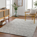 Surya Nevada NVD-2302 Off-White Area Rug by LIVABLISS