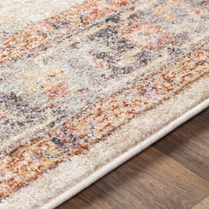 Surya New Mexico NWM-2300 Light Beige Area Rug by LIVABLISS