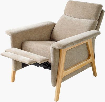 LIVABLISS Scot OCS-001 Accent Chair