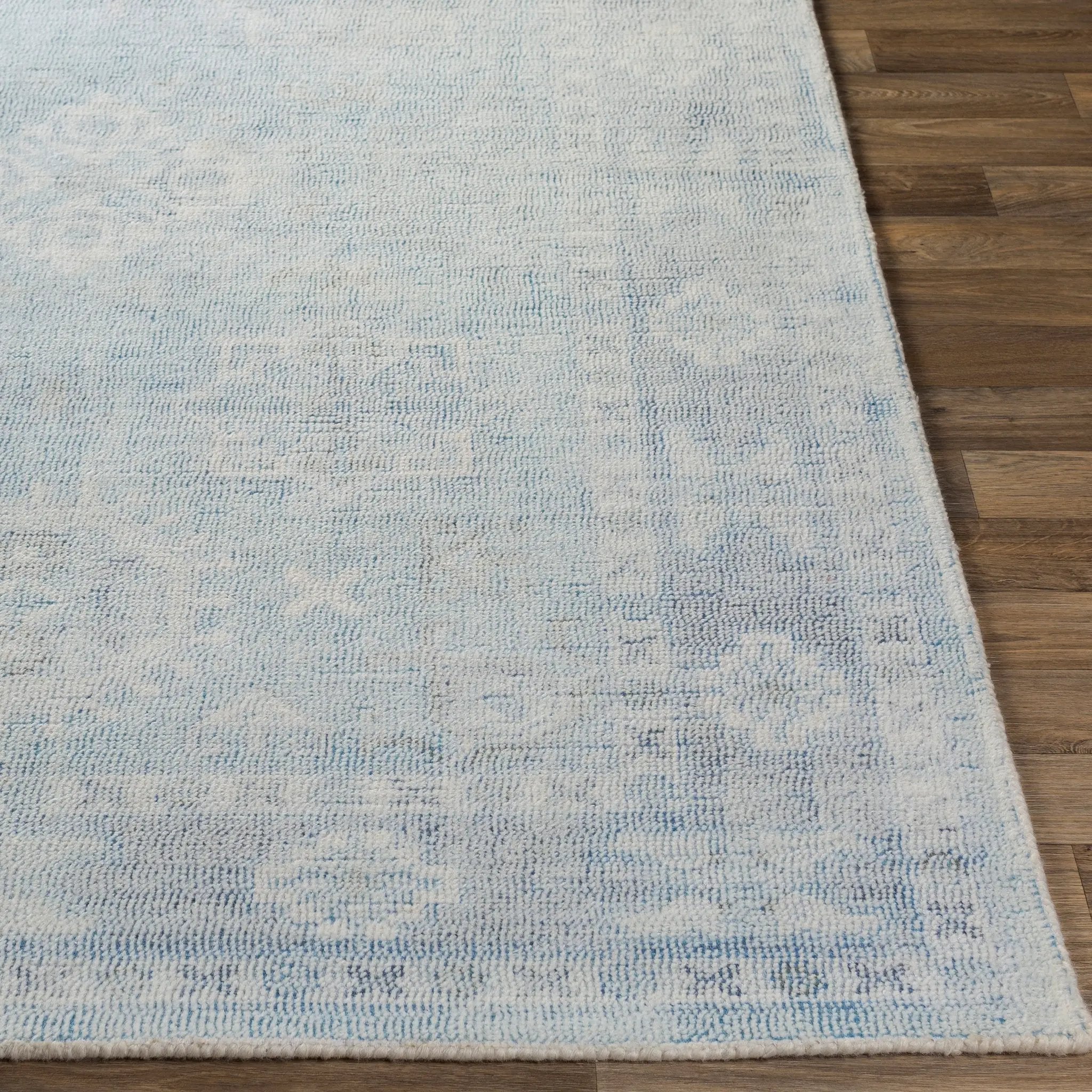 Oregon ORG-2304 Blue Area Rug by LIVABLISS