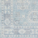 Oregon ORG-2304 Blue Area Rug
