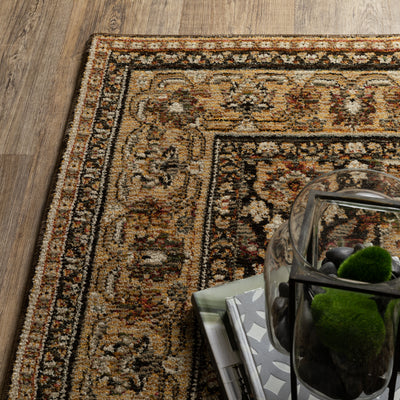 Andorra 2431A Brown/Gold Area Rug, brown gold modern traditional area rug with vintage-style pattern and luxurious soft pile.