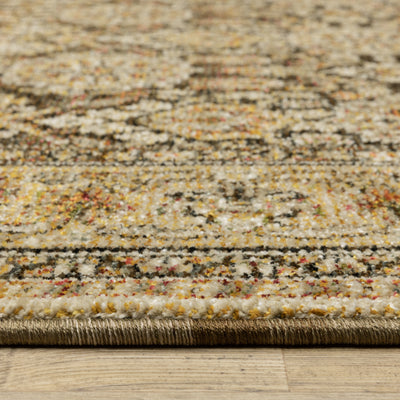 Andorra 2431A Brown/Gold Area Rug, brown gold modern traditional area rug with vintage-style pattern and luxurious soft pile.