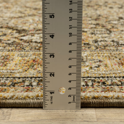 Andorra 2431A Brown/Gold Area Rug, brown gold modern traditional area rug with vintage-style pattern and luxurious soft pile.