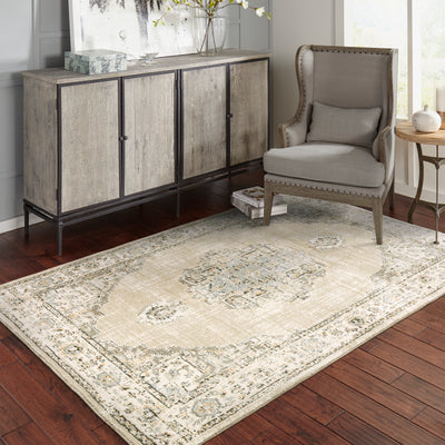 Andorra 303D0 Beige/Ivory Area Rug, beige ivory modern traditional area rug with quiet vintage-inspired design and plush pile.