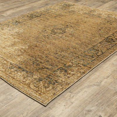 Andorra 6845D Gold/Brown Area Rug, gold brown modern traditional area rug with warm vintage-inspired design and plush pile.