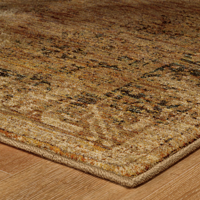 Andorra 6845D Gold/Brown Area Rug, gold brown modern traditional area rug with warm vintage-inspired design and plush pile.