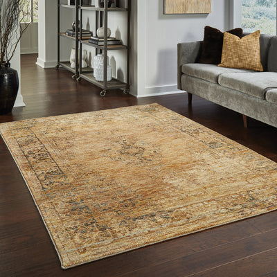 Andorra 6845D Gold/Brown Area Rug, gold brown modern traditional area rug with warm vintage-inspired design and plush pile.
