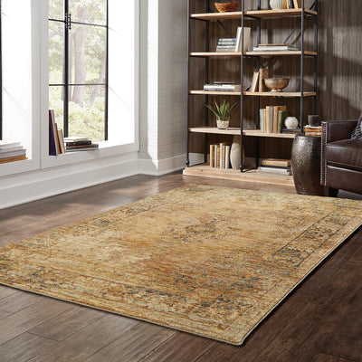 Andorra 6845D Gold/Brown Area Rug, gold brown modern traditional area rug with warm vintage-inspired design and plush pile.