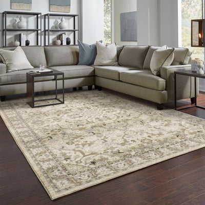 Andorra 9818G Beige/Ivory Area Rug, beige ivory modern traditional area rug with warm vintage-inspired design and dense soft pile.