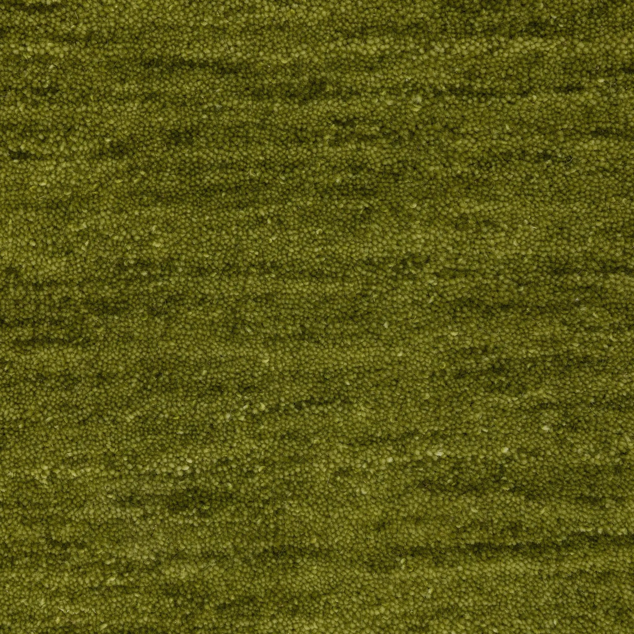 Aniston II 27116 Olive Green Area Rug by Oriental Weavers