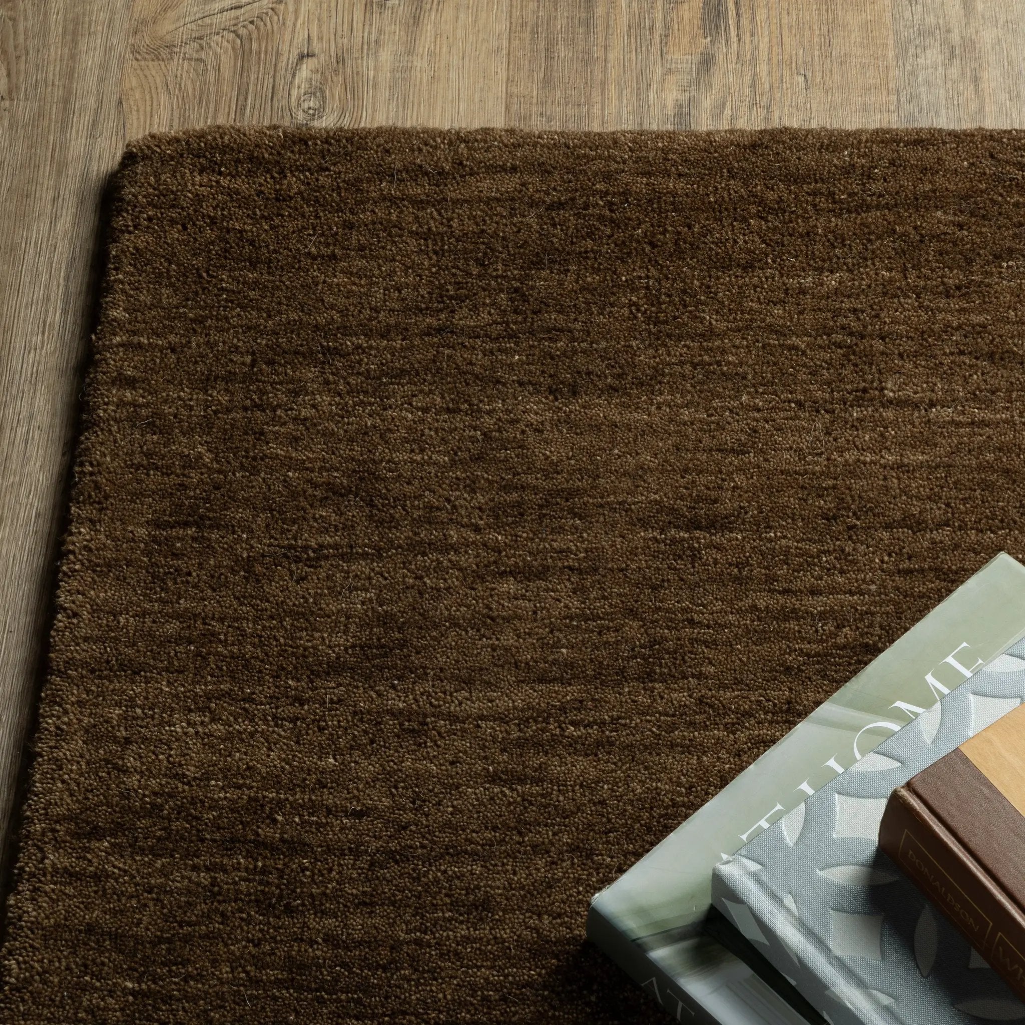 Aniston II 27117 Brown Area Rug by Oriental Weavers