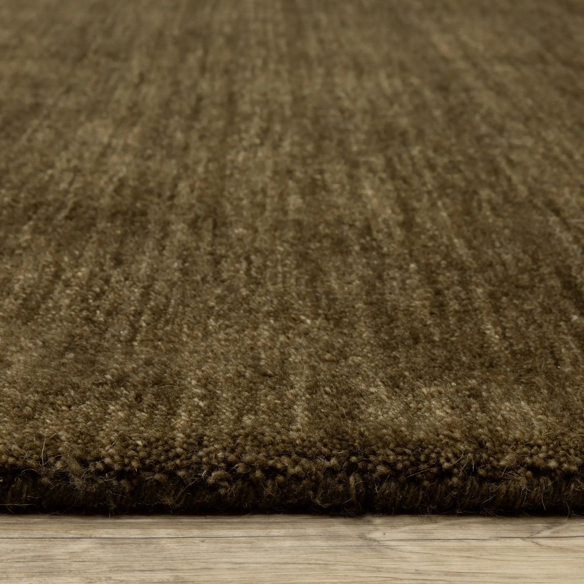 Aniston II 27117 Brown Area Rug by Oriental Weavers