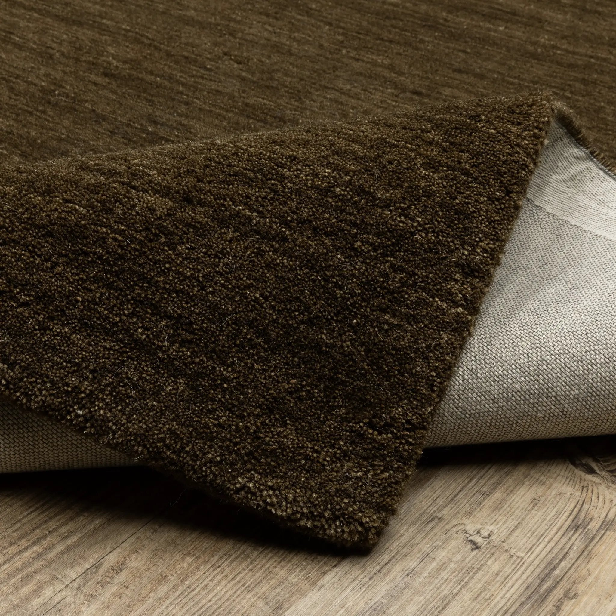 Aniston II 27117 Brown Area Rug by Oriental Weavers
