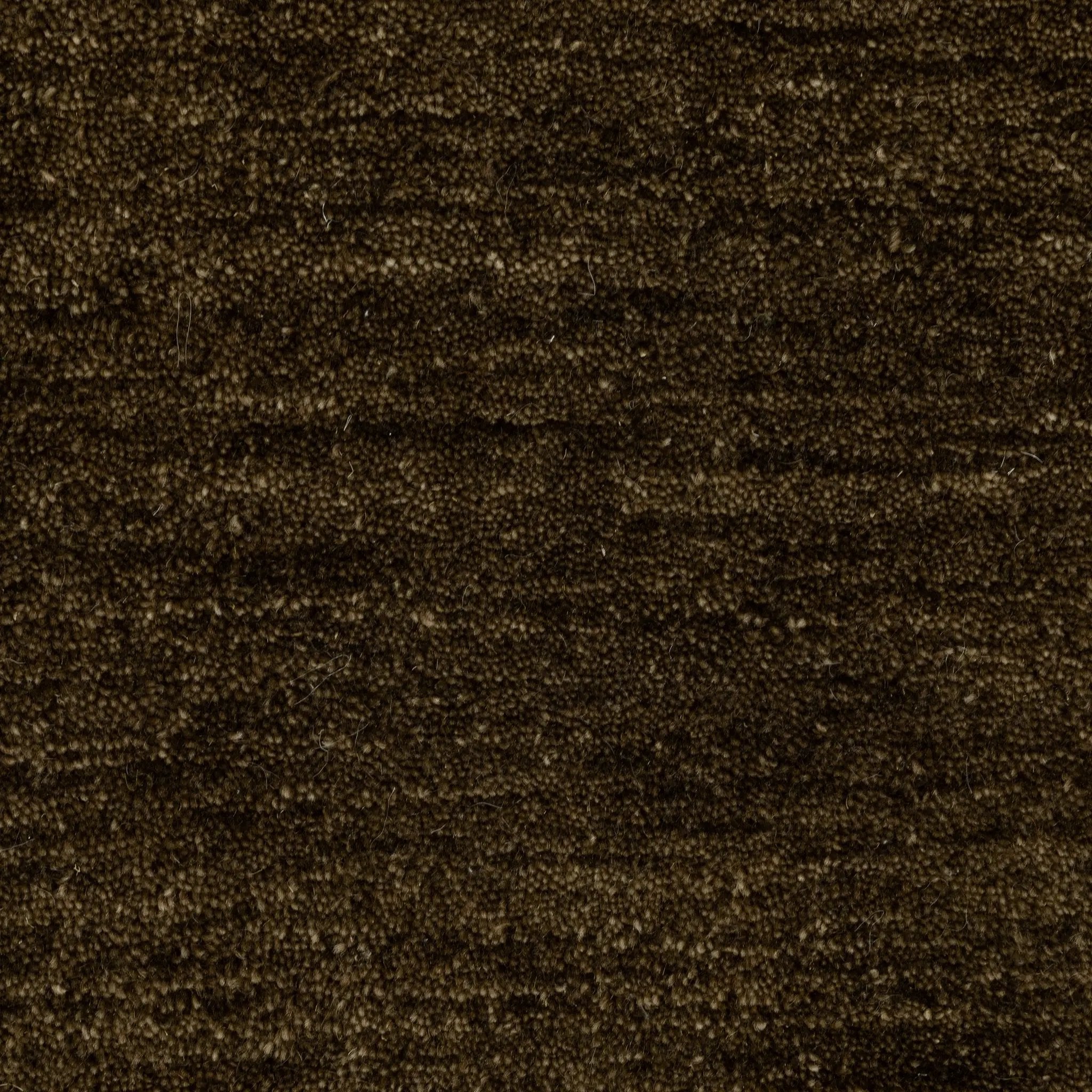 Aniston II 27117 Brown Area Rug by Oriental Weavers