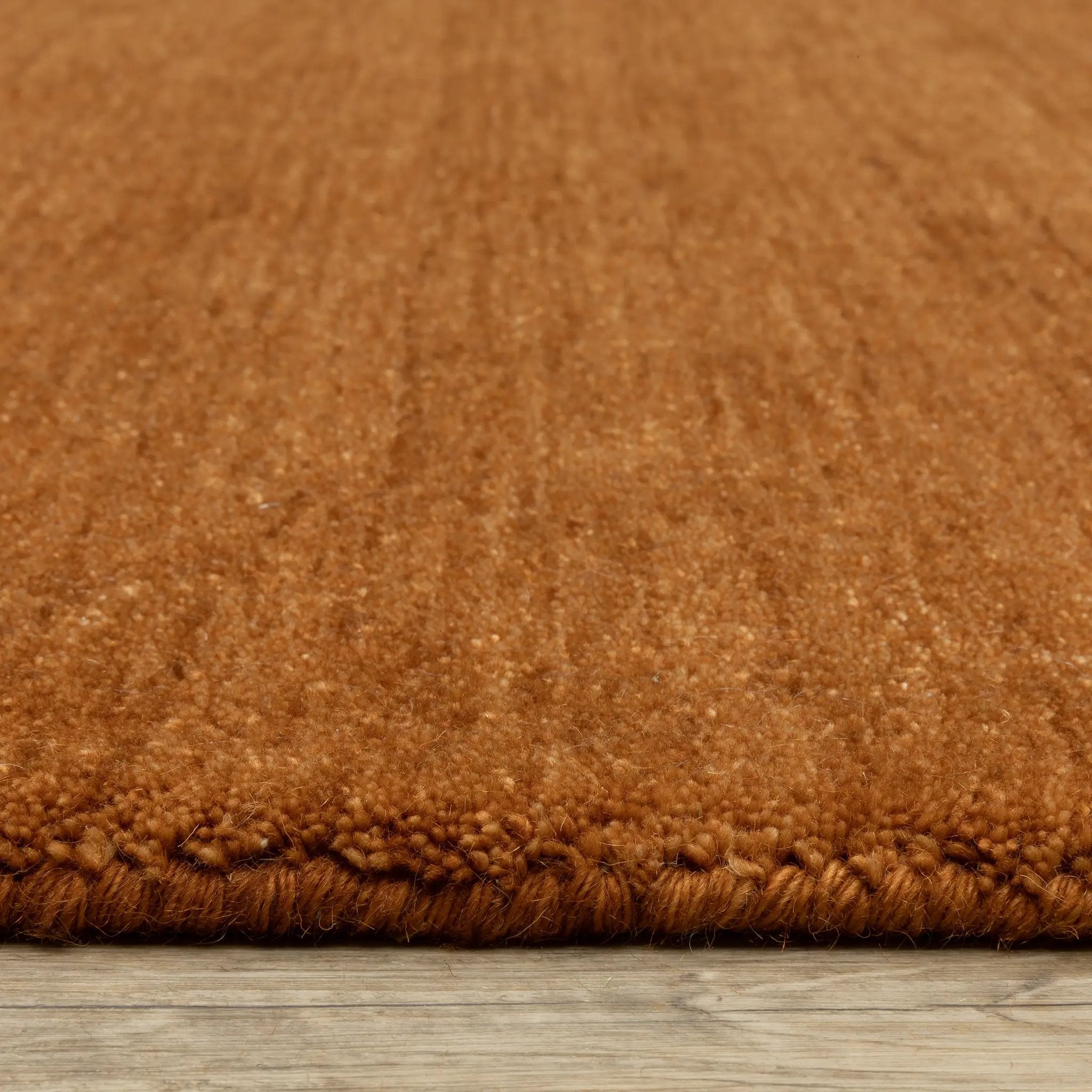 Aniston II 27118 Rust Area Rug by Oriental Weavers