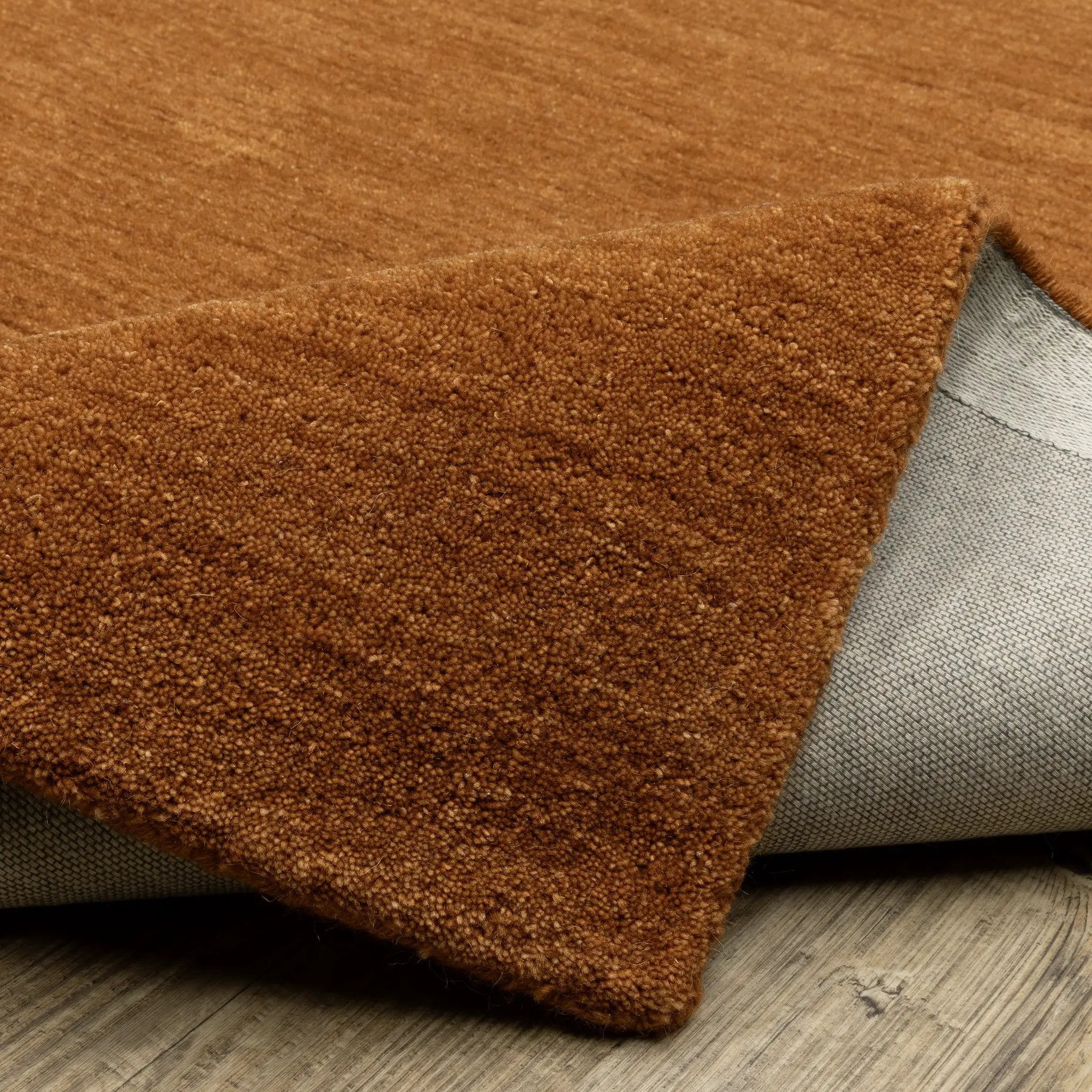 Aniston II 27118 Rust Area Rug by Oriental Weavers