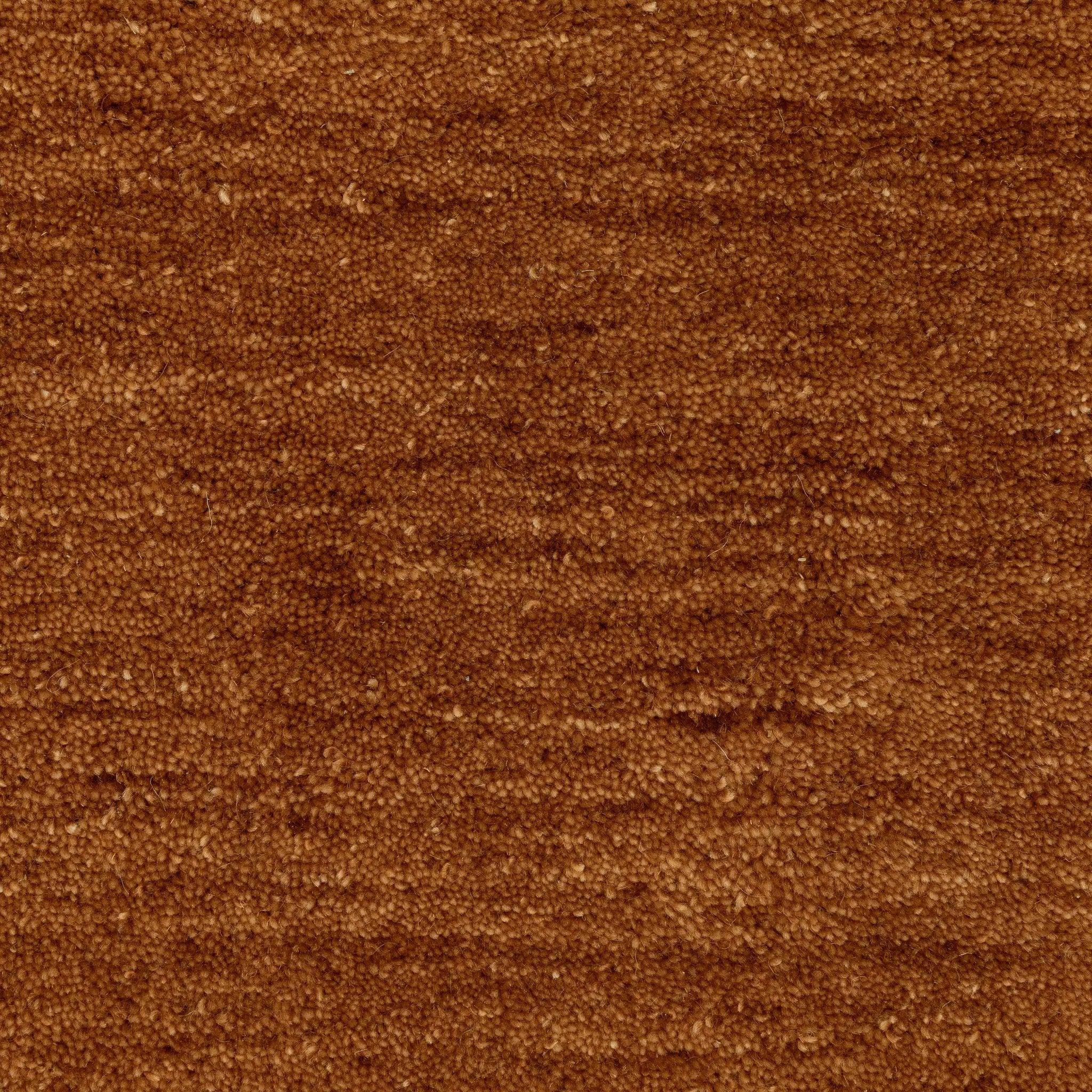 Aniston II 27118 Rust Area Rug by Oriental Weavers