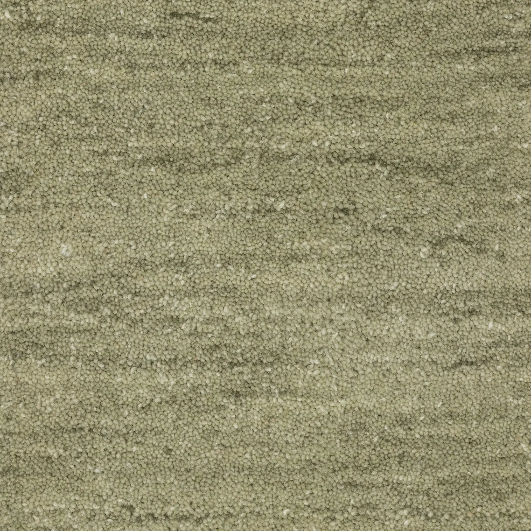 Aniston II 27120 Sage Green Area Rug by Oriental Weavers