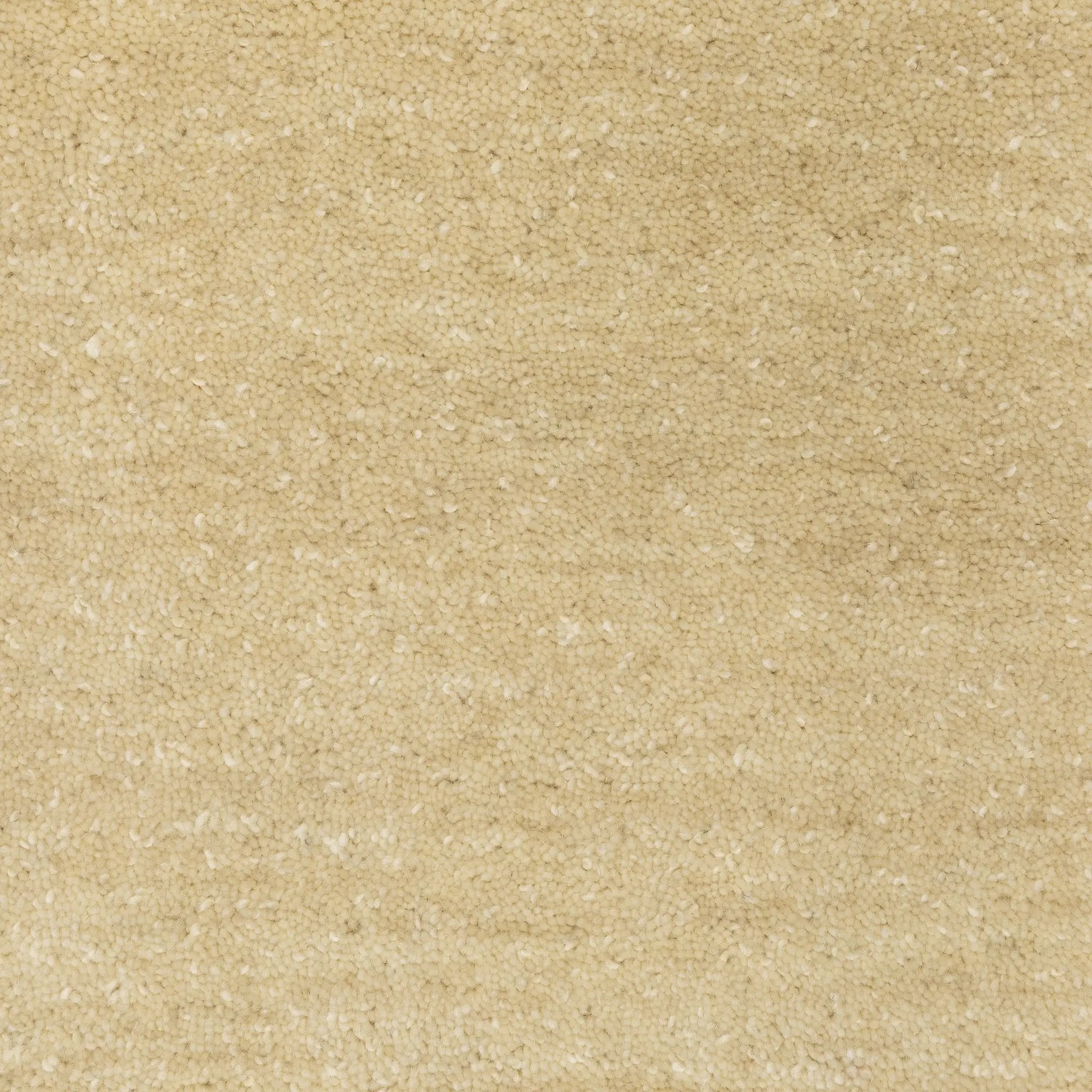 Aniston II 27122 Beige Area Rug by Oriental Weavers