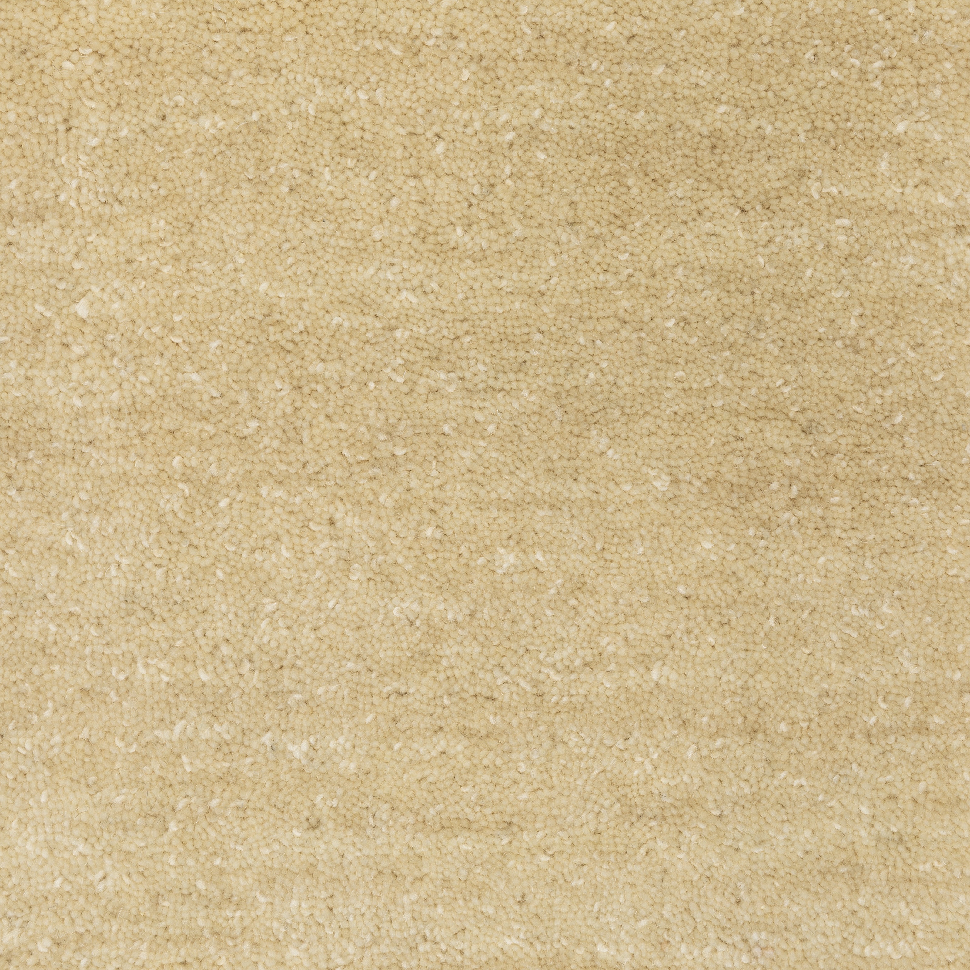 Aniston II 27122 Beige Area Rug, beige solid wool area rug with heathered texture and plush hand-tufted surface.