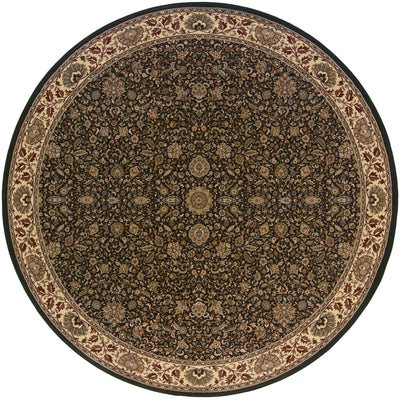 Ariana 172D2 Brown/Ivory Area Rug, brown ivory traditional oriental area rug with classic pattern detail and crisp updated hues.