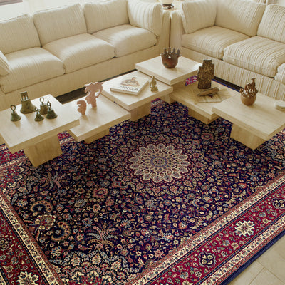 Ariana 095B3 Blue/Red Area Rug, blue, red traditional oriental area rug with crisp updated colors and detailed collector-style pattern.