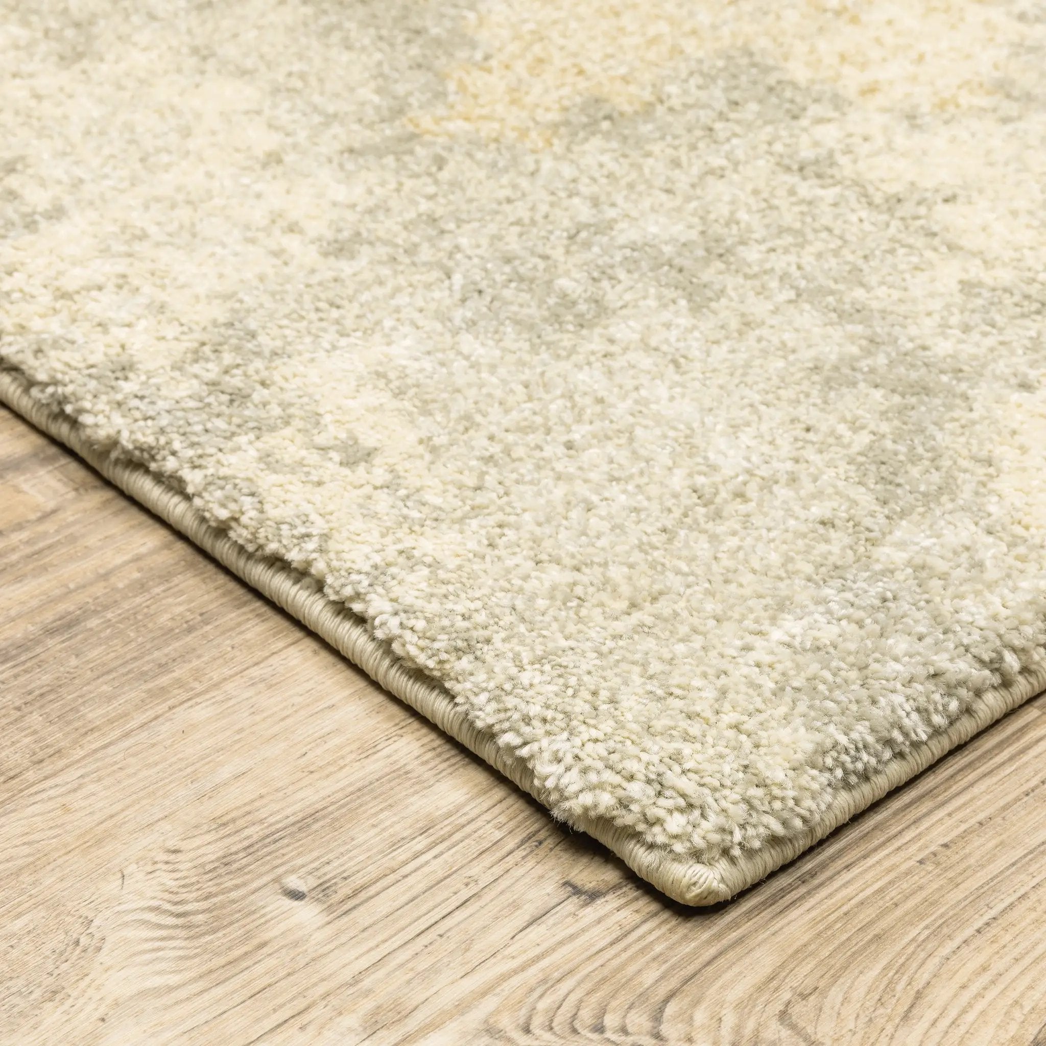 Astor 2268J Beige/ Grey Area Rug by Oriental Weavers