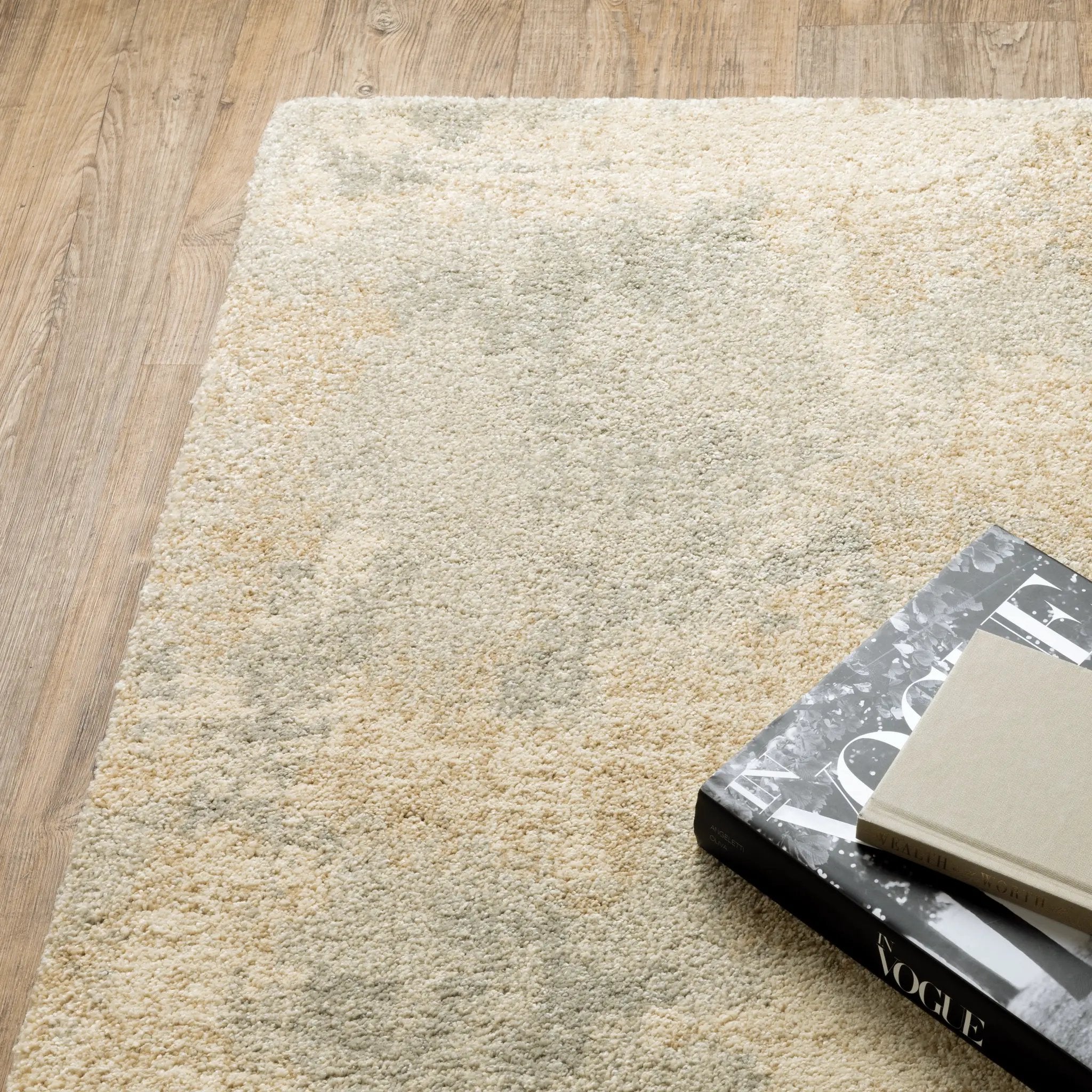 Astor 2268J Beige/ Grey Area Rug by Oriental Weavers