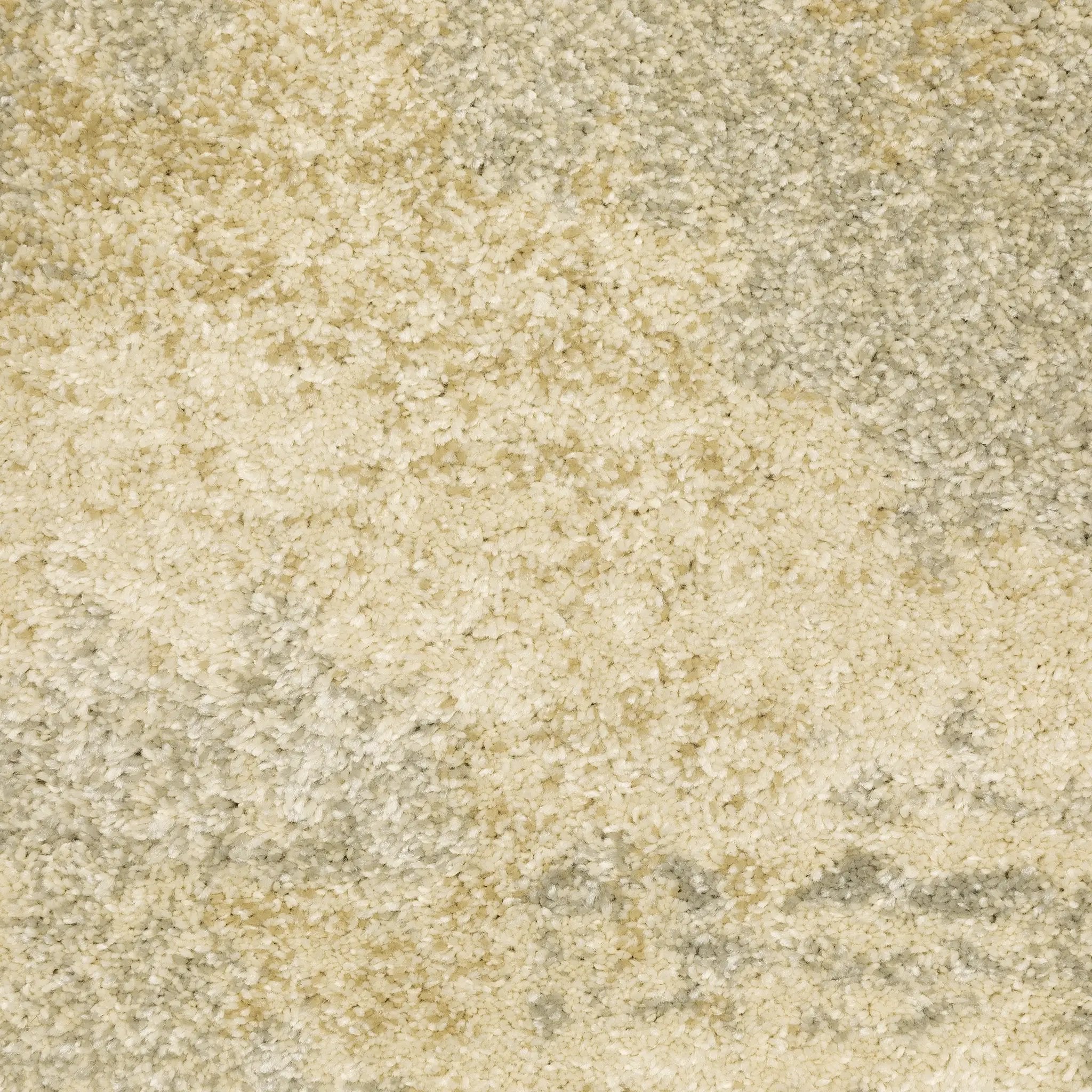 Astor 2268J Beige/ Grey Area Rug by Oriental Weavers