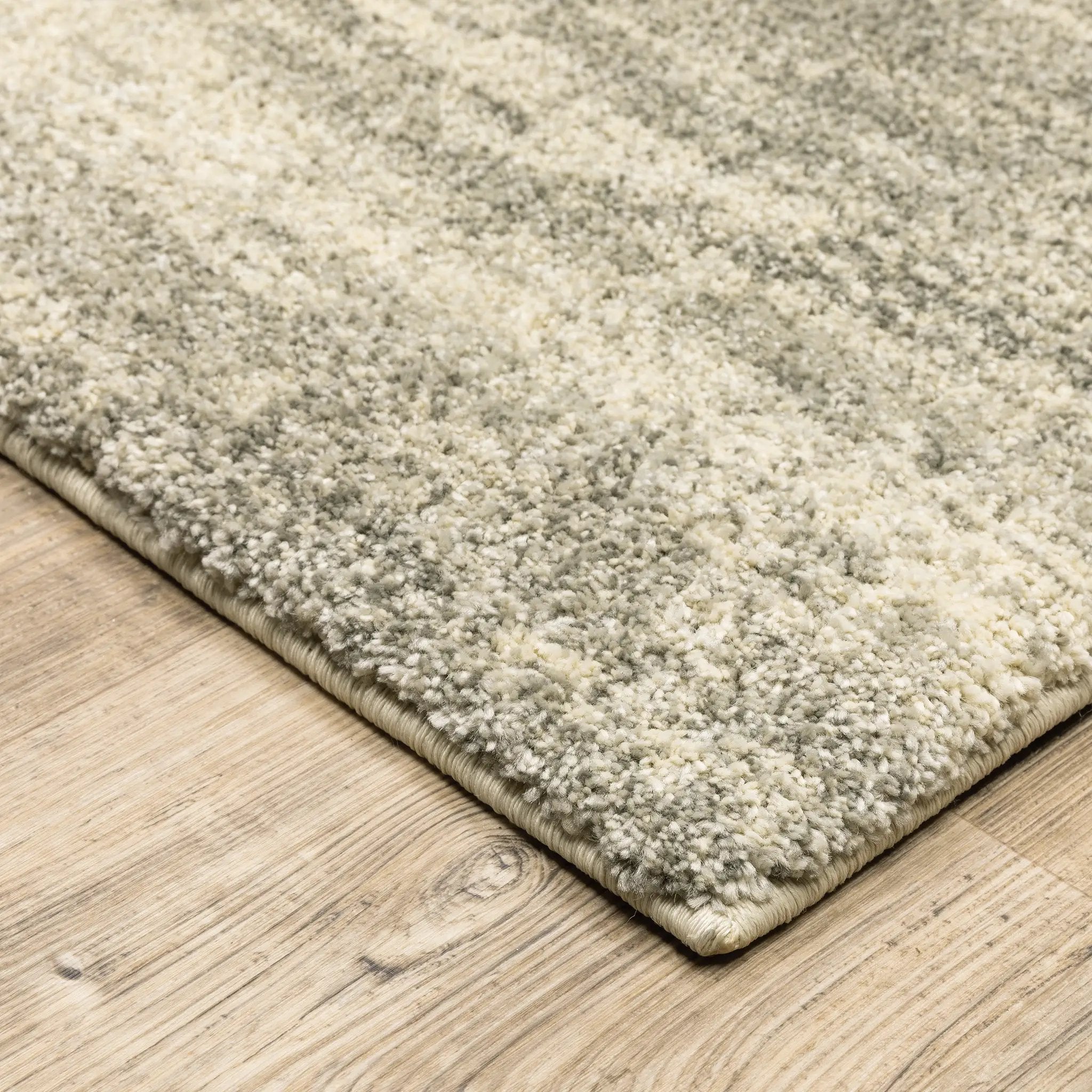 Astor 5572E Grey/ Beige Area Rug by Oriental Weavers