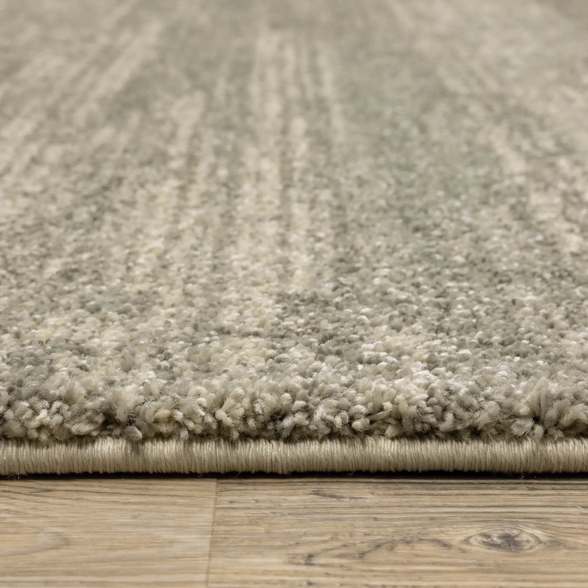 Astor 5572E Grey/ Beige Area Rug by Oriental Weavers