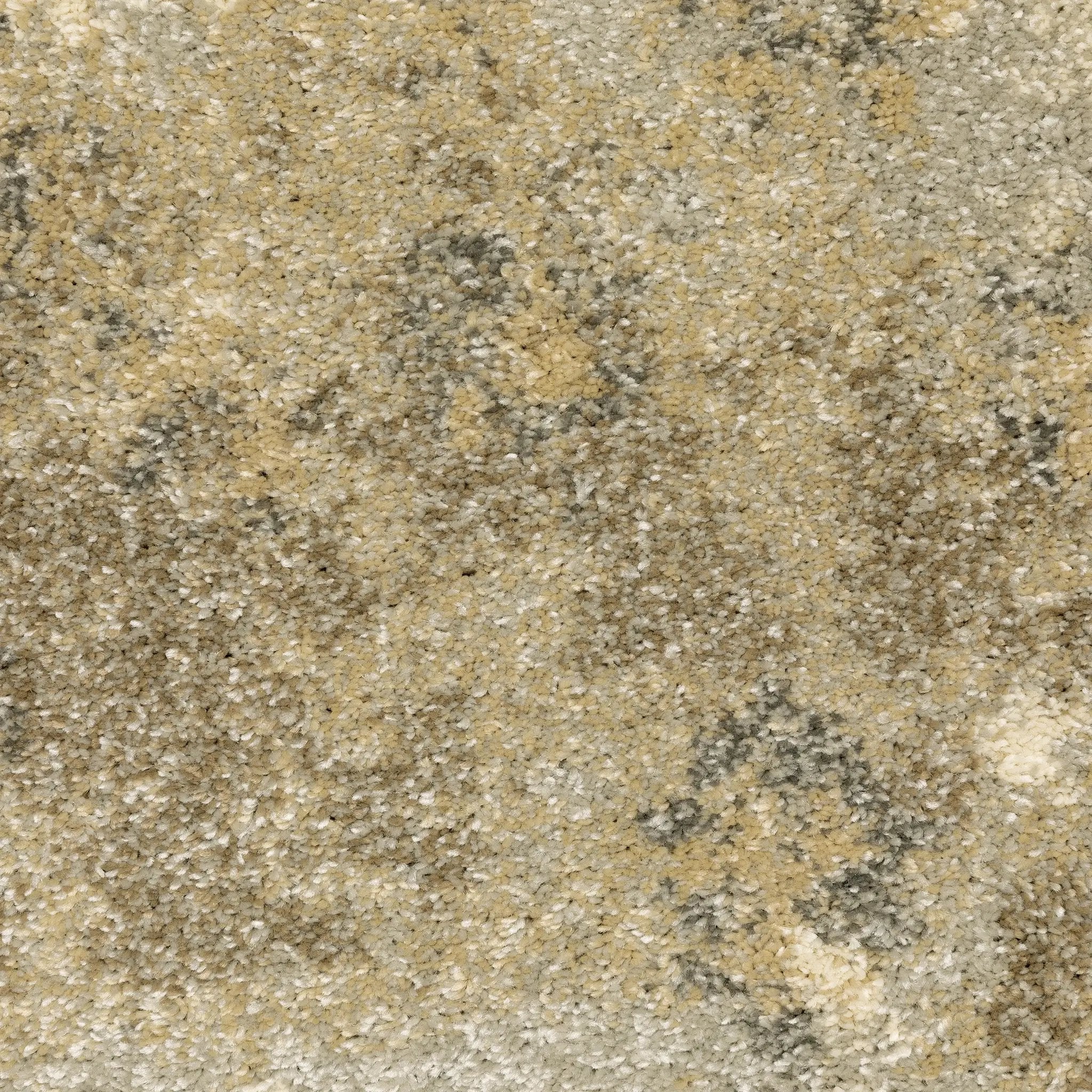 Astor 8322J Gold/ Beige Area Rug by Oriental Weavers