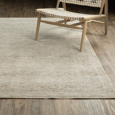 Oriental Weavers Avalon AVA07 soft transitional rug featuring decorative pattern in beige/ grey tones