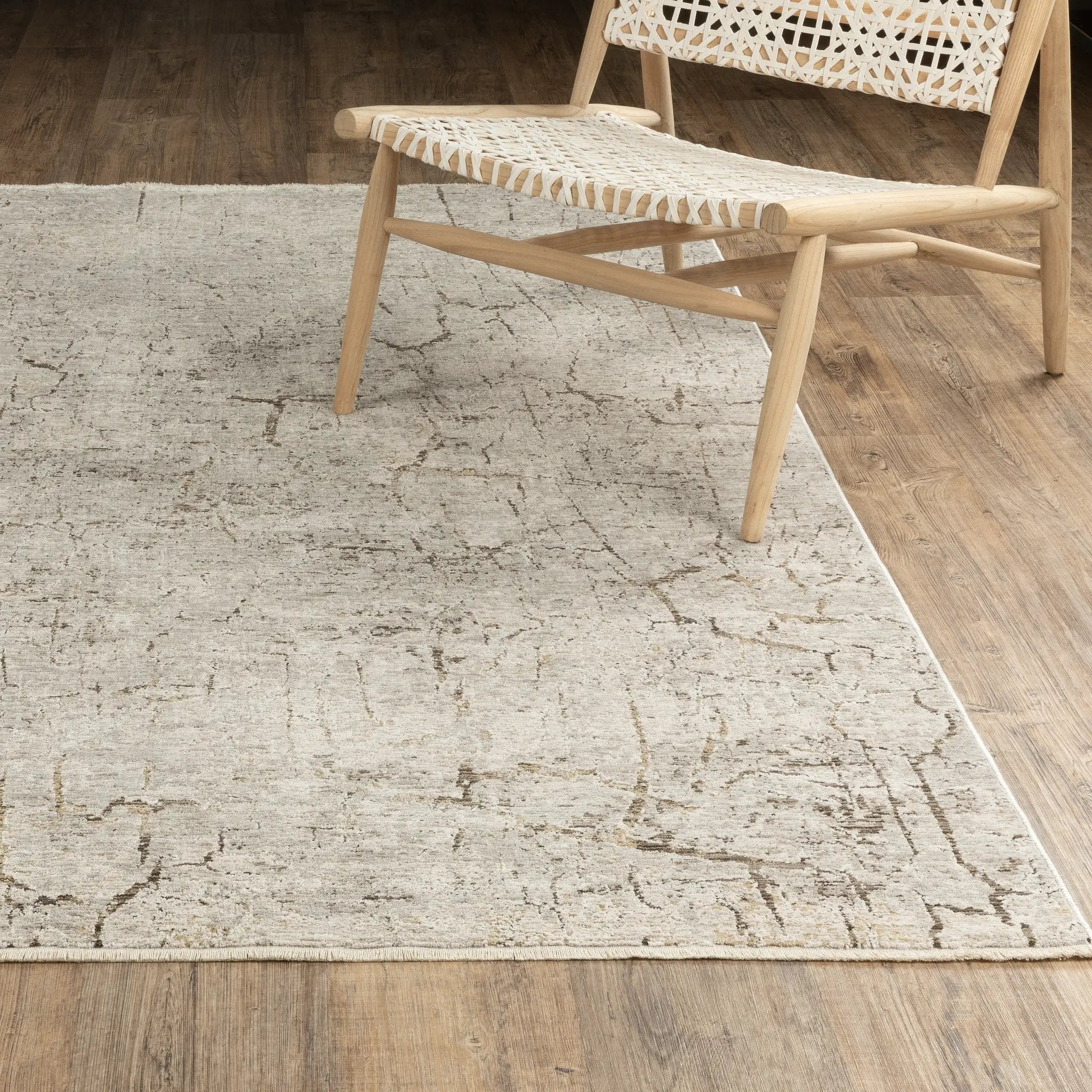 Branigan BRG05 Grey/ Gold Area Rug by Oriental Weavers