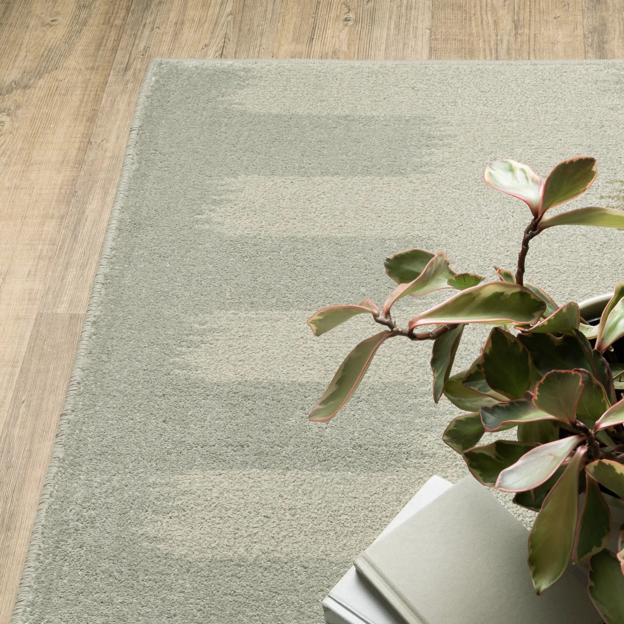 Branson BR09A Beige/ Grey Area Rug by Oriental Weavers