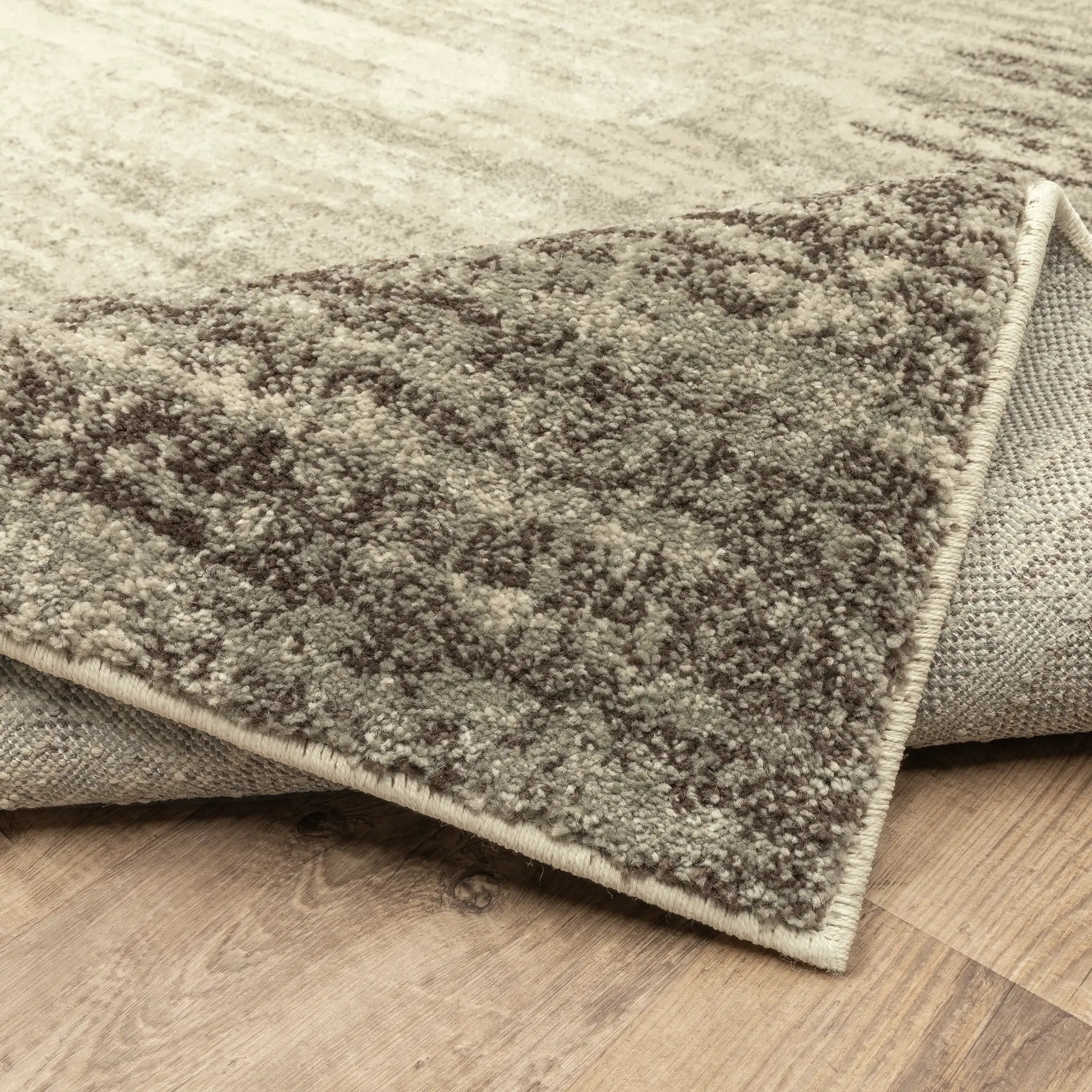 Carson 0735A Beige/ Grey Area Rug by Oriental Weavers