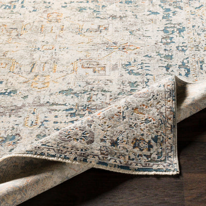 Surya Presidential PDT-2300 Ice Blue Area Rug by LIVABLISS