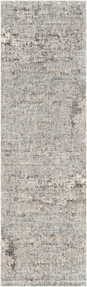 Surya Presidential PDT-2303 Ice Blue Area Rug by LIVABLISS