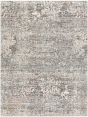 Surya Presidential PDT-2303 Ice Blue Area Rug by LIVABLISS