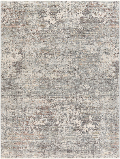 Surya Presidential PDT-2303 Ice Blue Area Rug by LIVABLISS