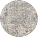 Surya Presidential PDT-2303 Ice Blue Area Rug by LIVABLISS