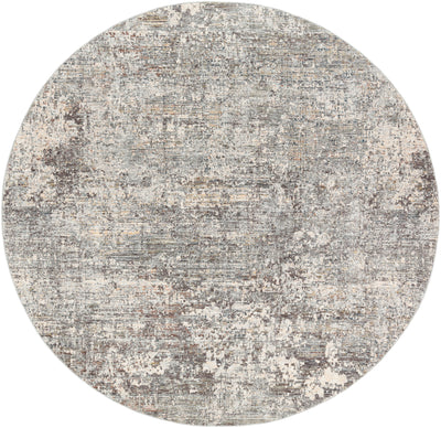 Surya Presidential PDT-2303 Ice Blue Area Rug by LIVABLISS