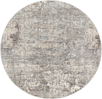 Surya Presidential PDT-2303 Ice Blue Area Rug by LIVABLISS