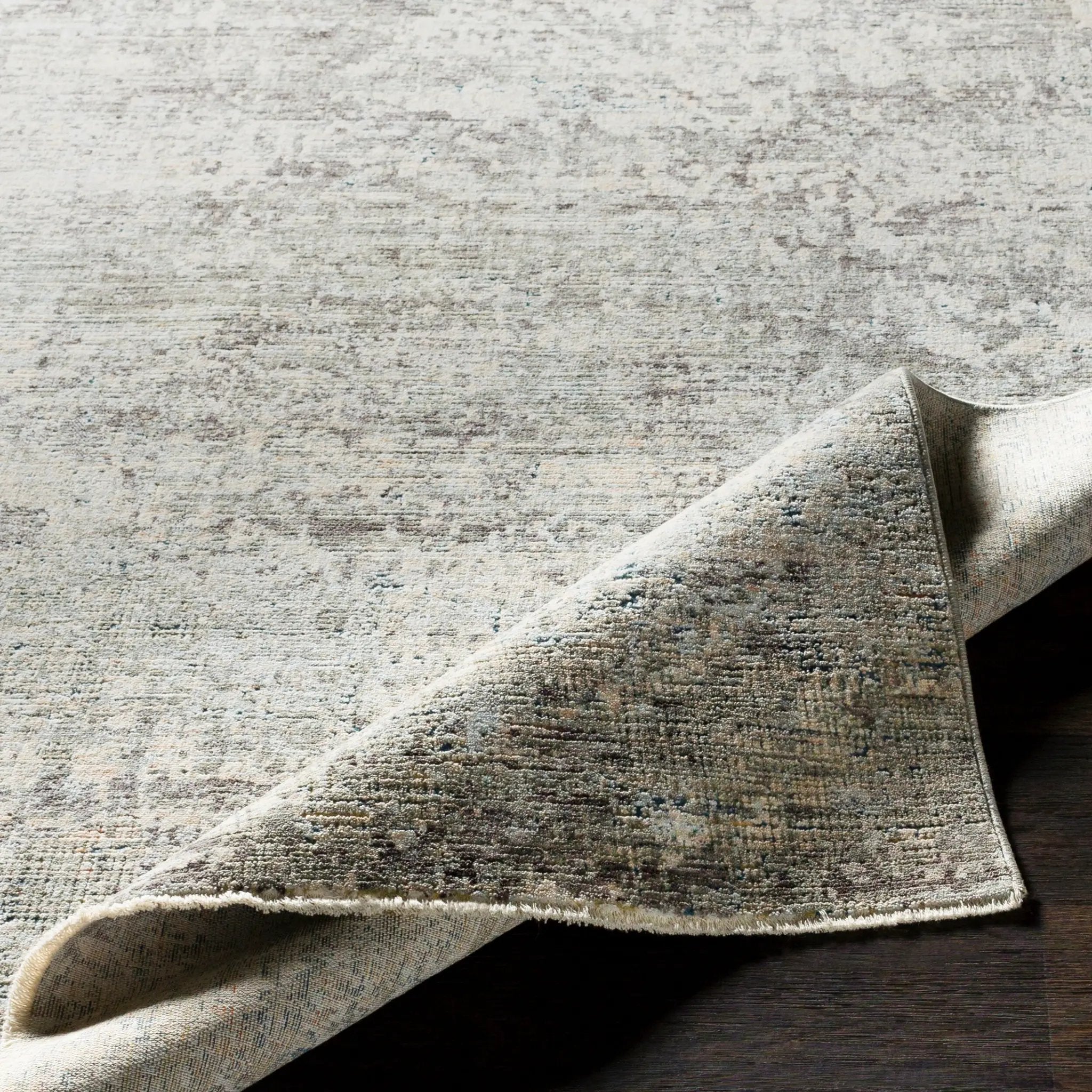 Presidential PDT-2303 Ice-Blue Area Rug by LIVABLISS